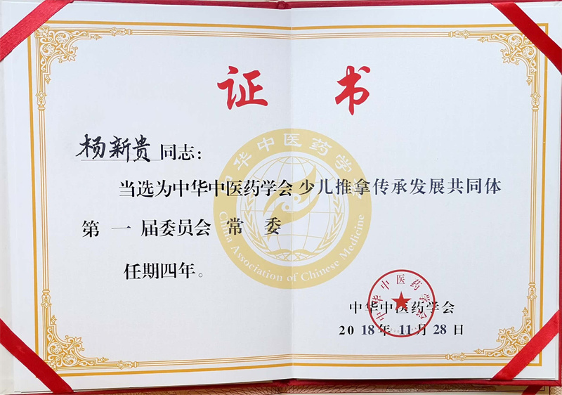 少儿推拿传承发展共同常委